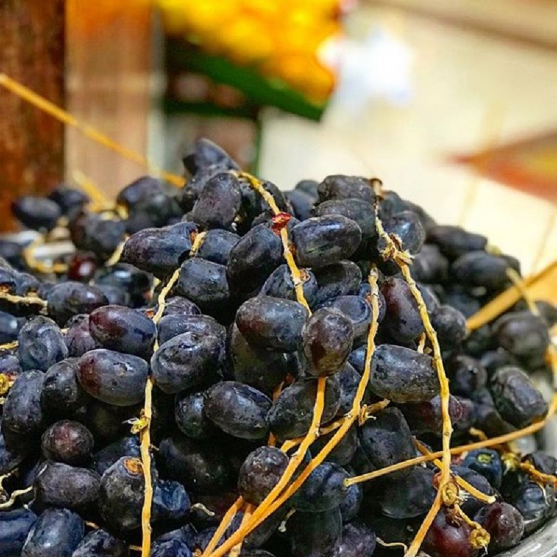 قیمت خرما مضافتی بم